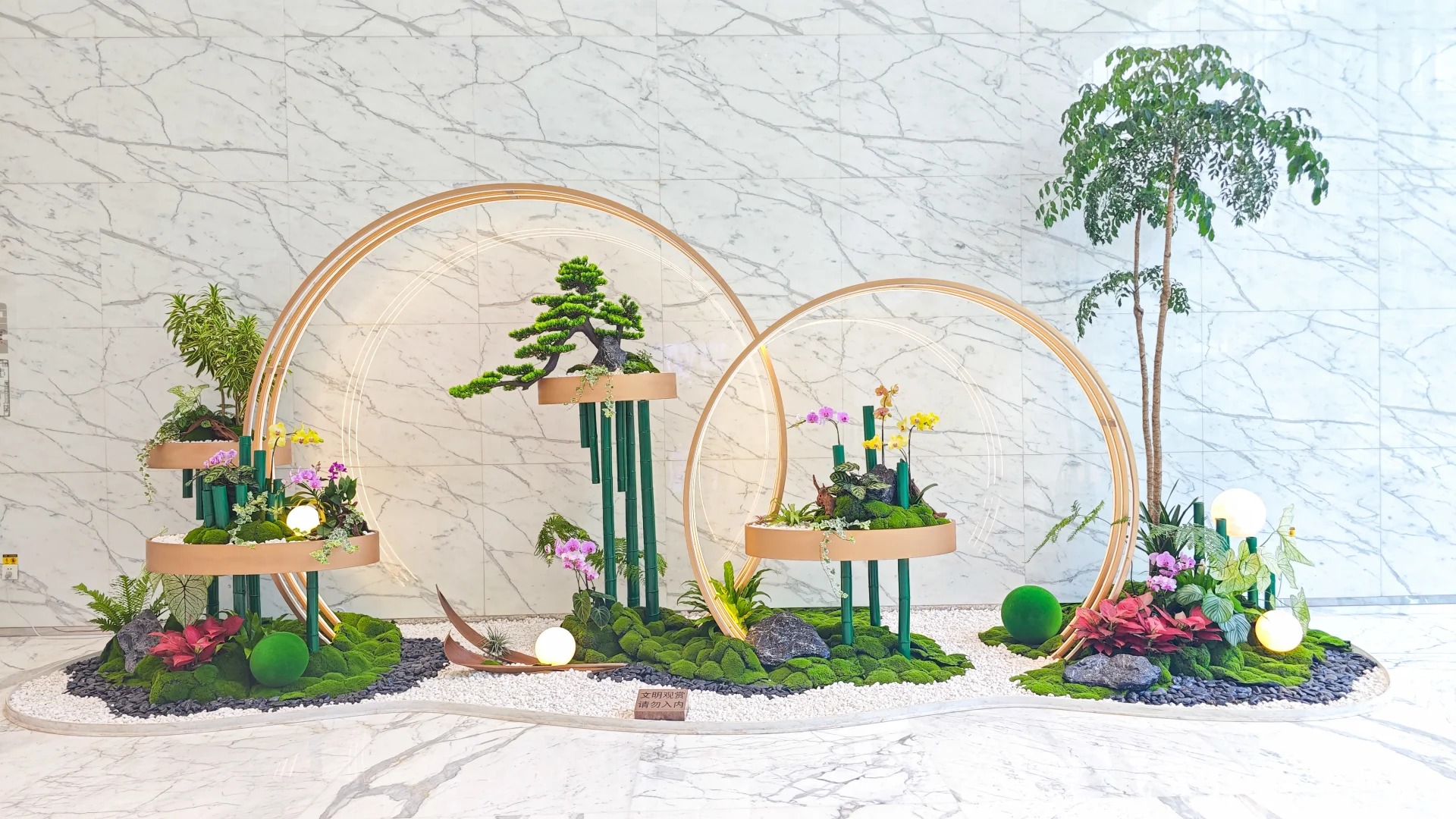 余姚植物出租，服务贴心，绿植焕新你的世界！